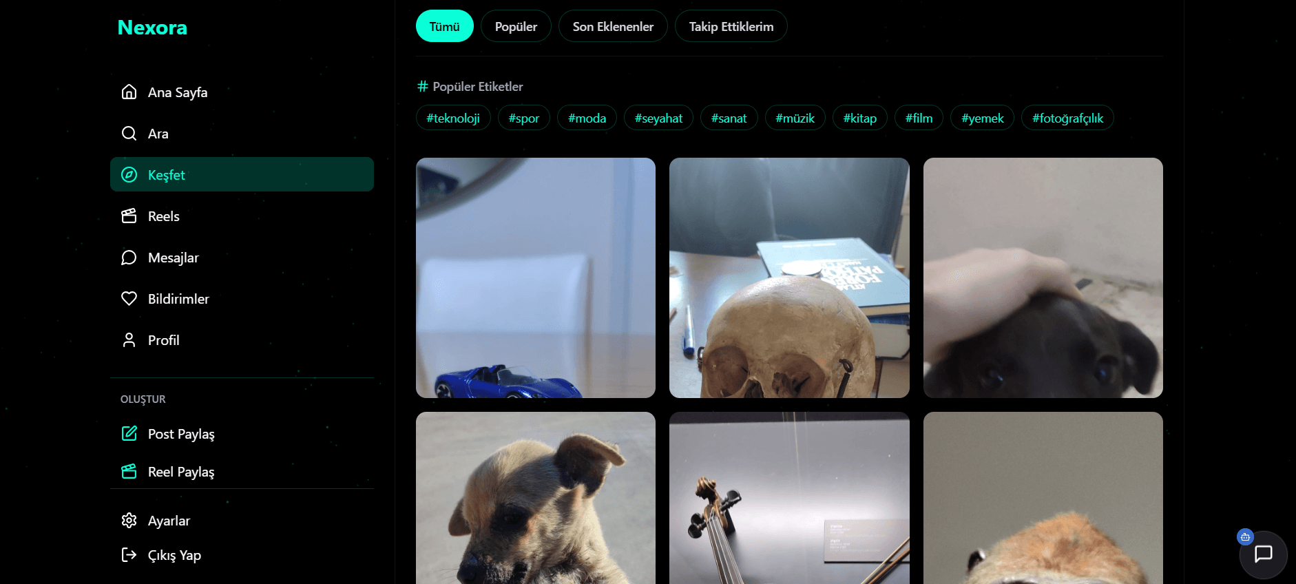 Nexora Explore interface with filters, popular tags and content grid